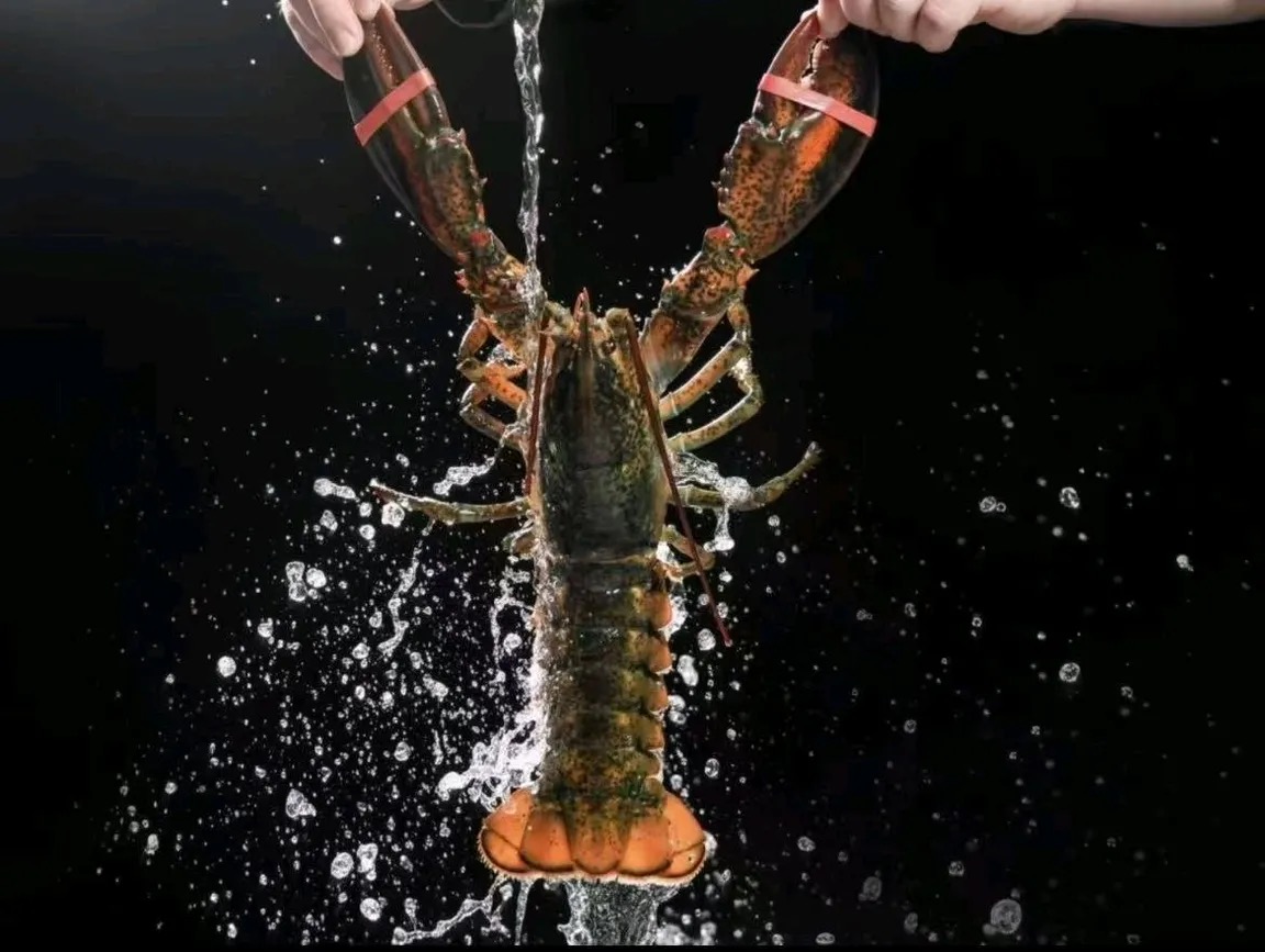 珠海海鲜